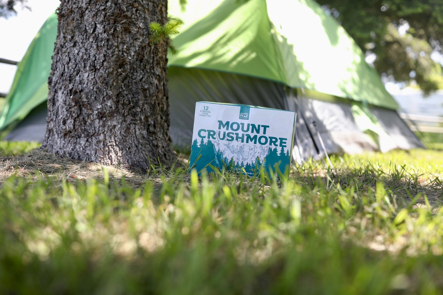 Mount Crushmore 12 Pack