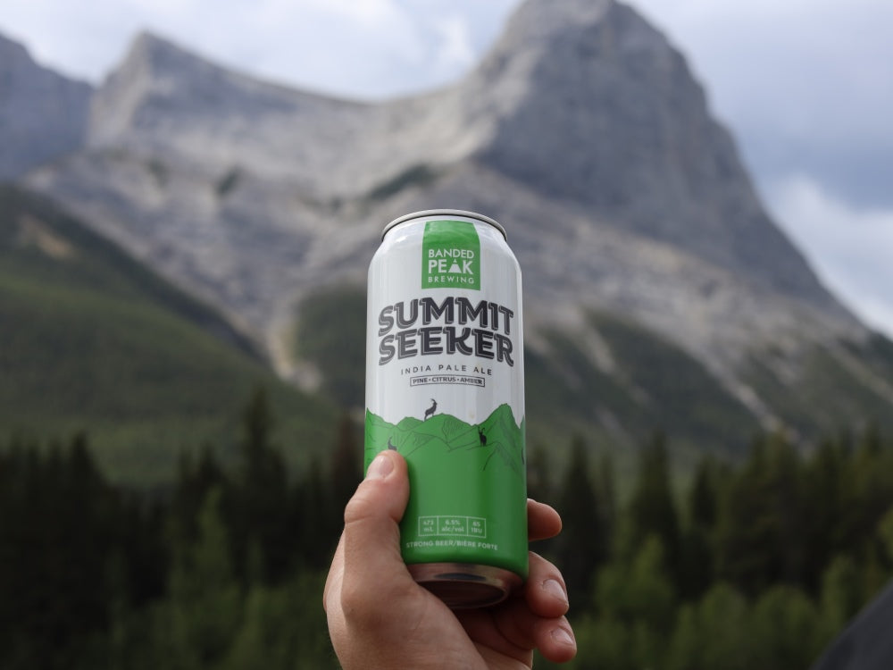 Summit Seeker