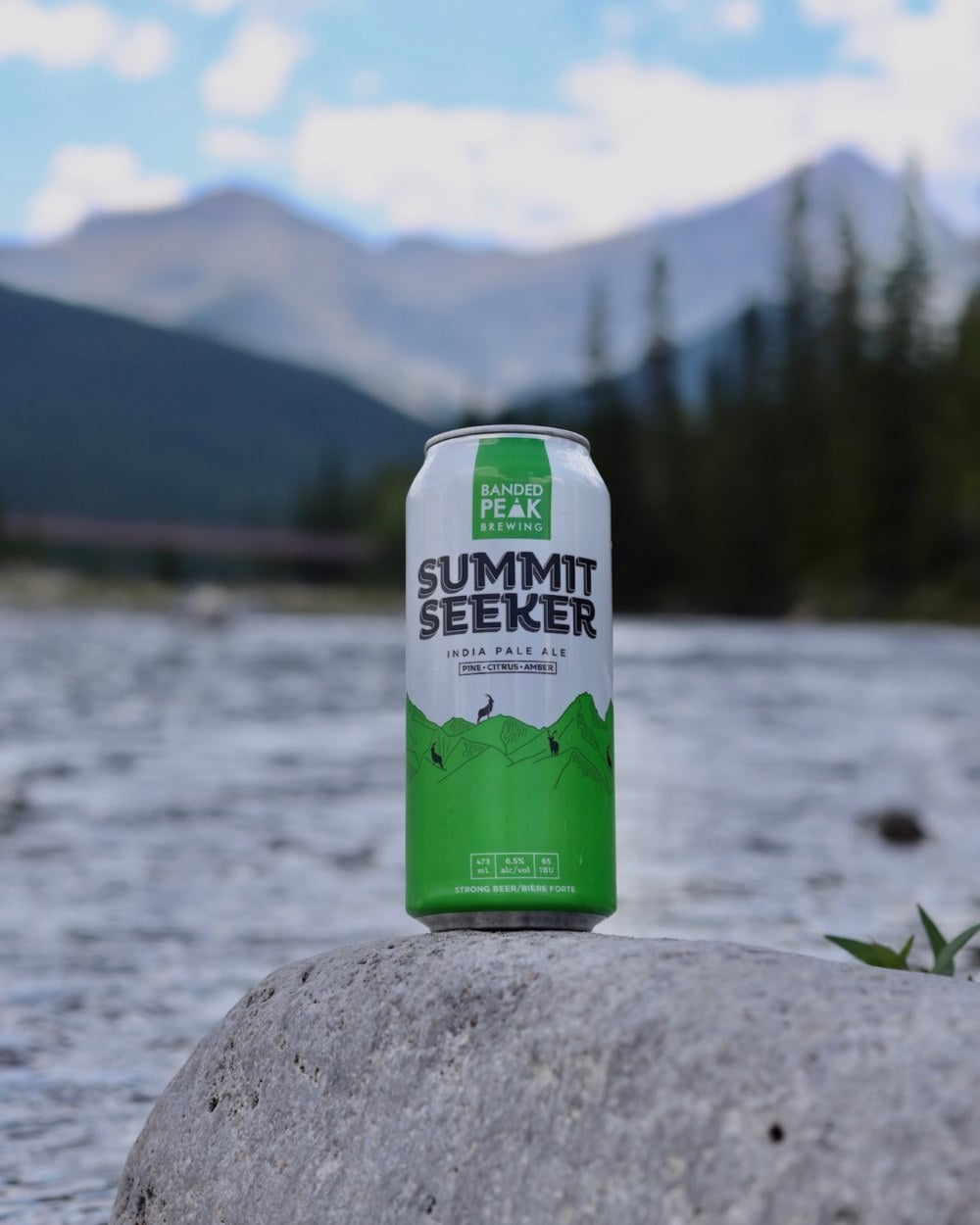 Summit Seeker
