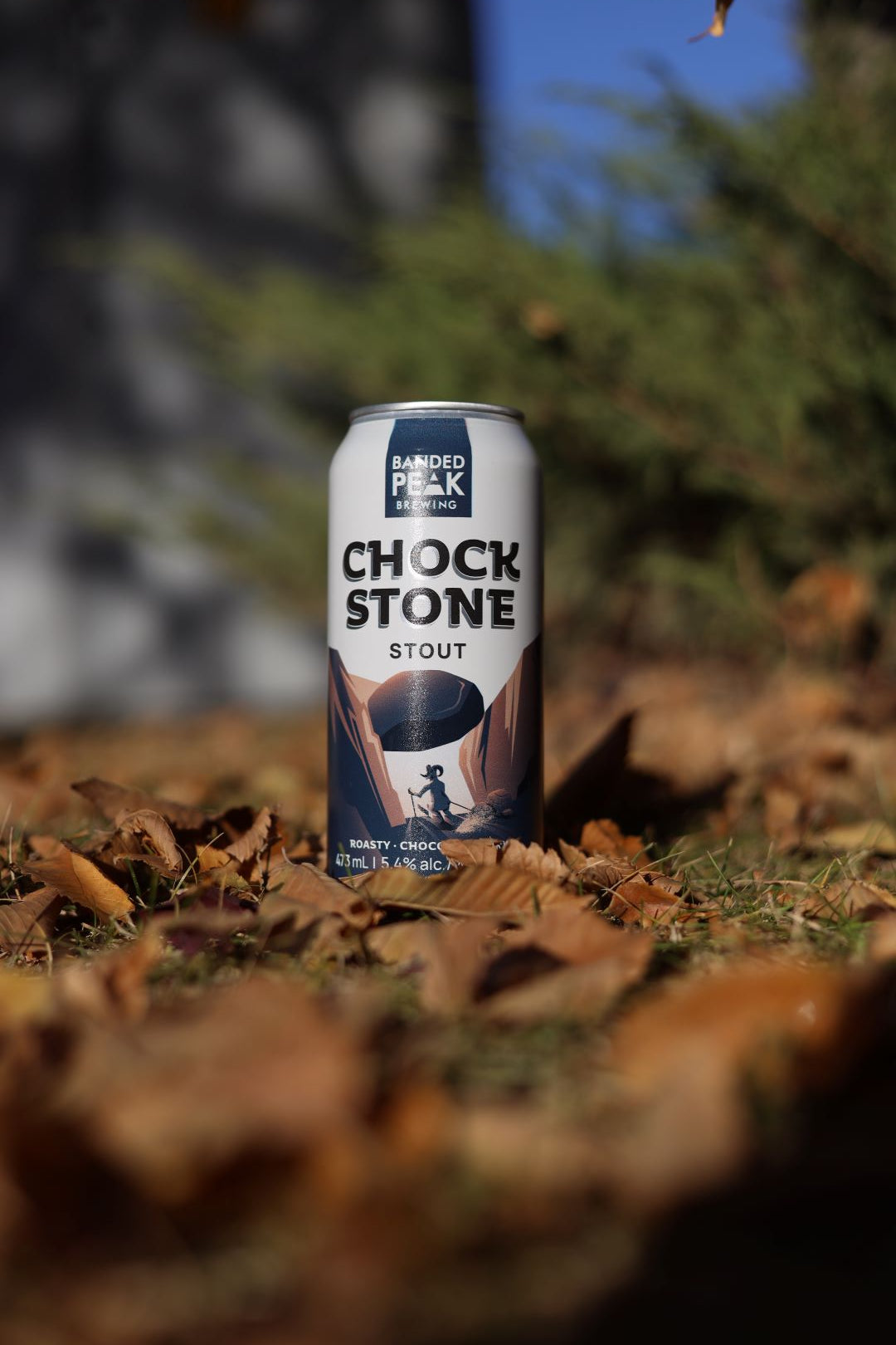 Chockstone