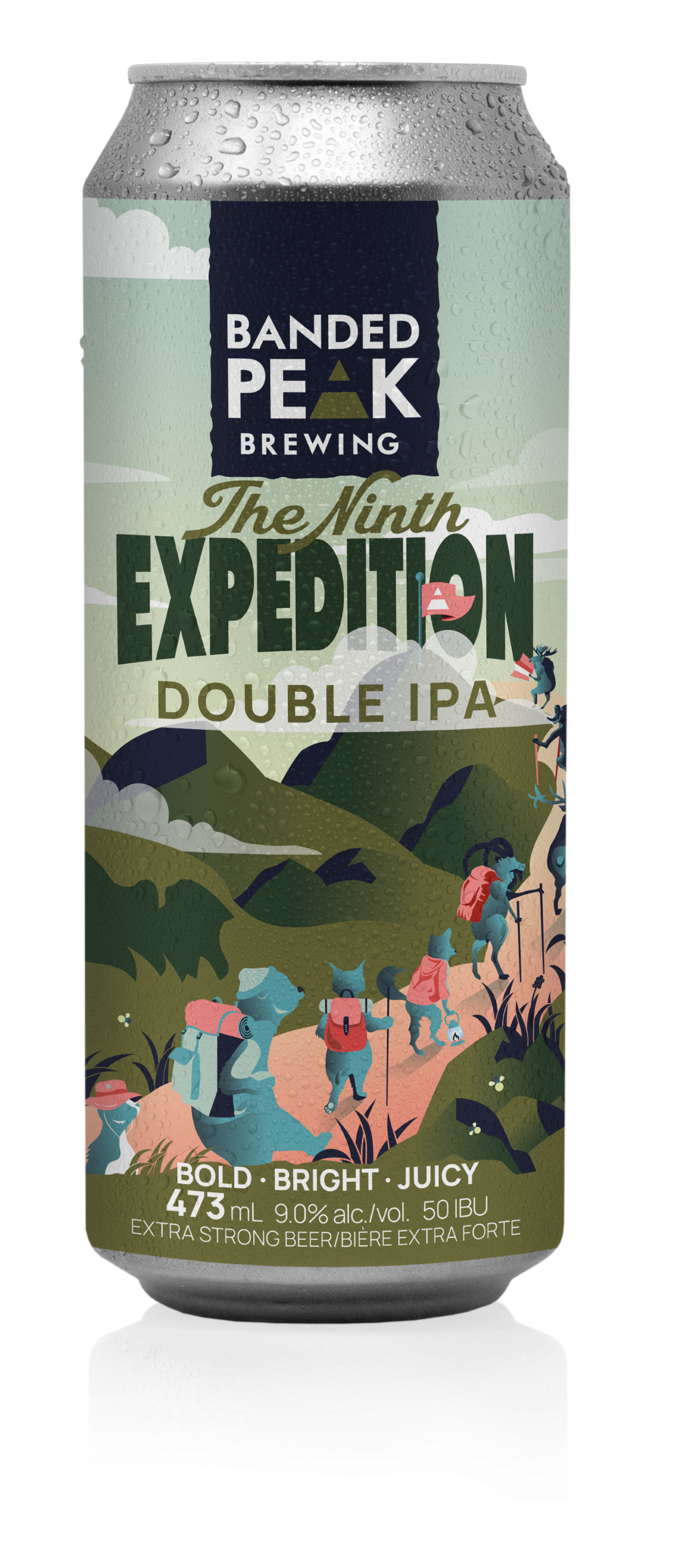 The Ninth Expedition