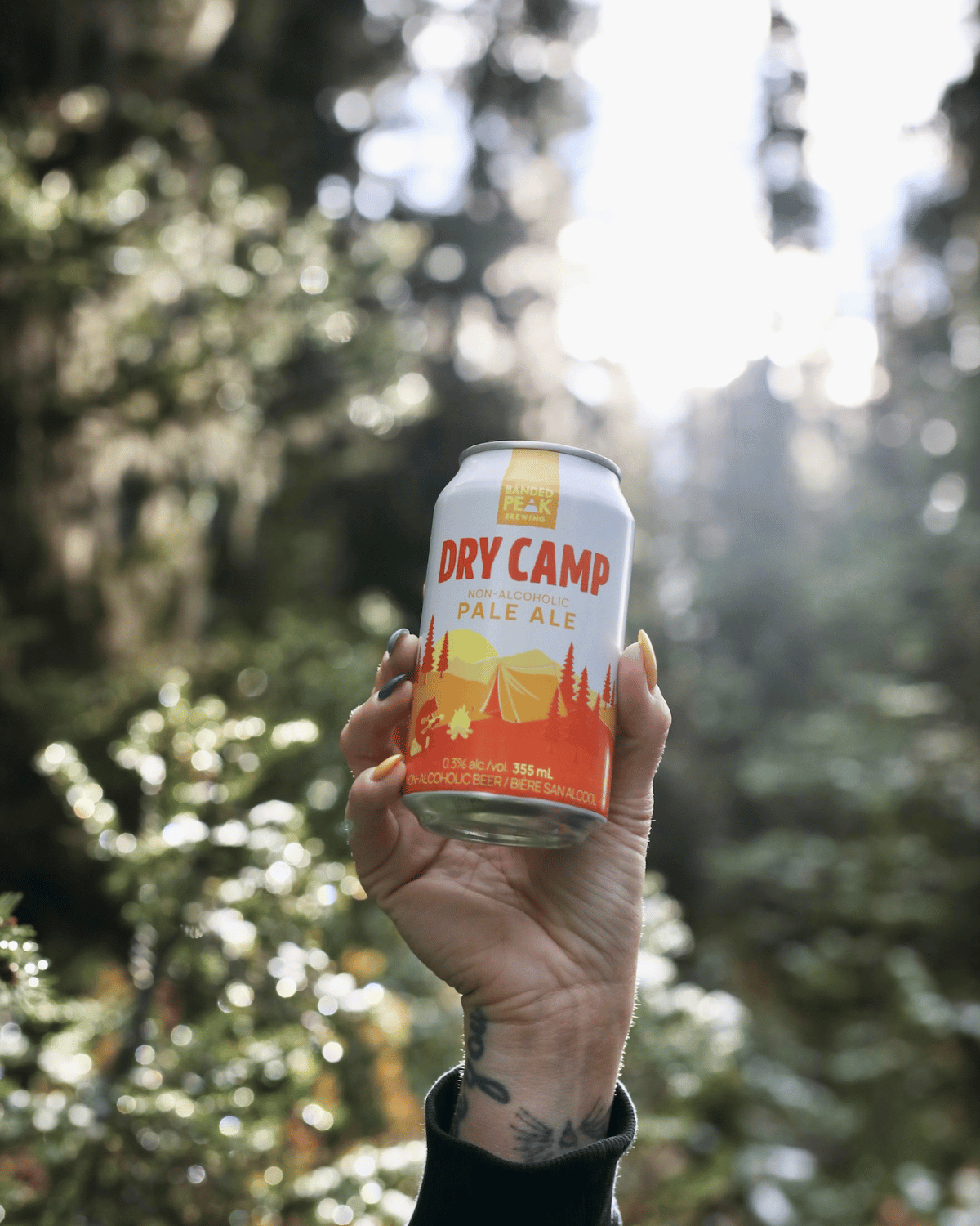 Dry Camp