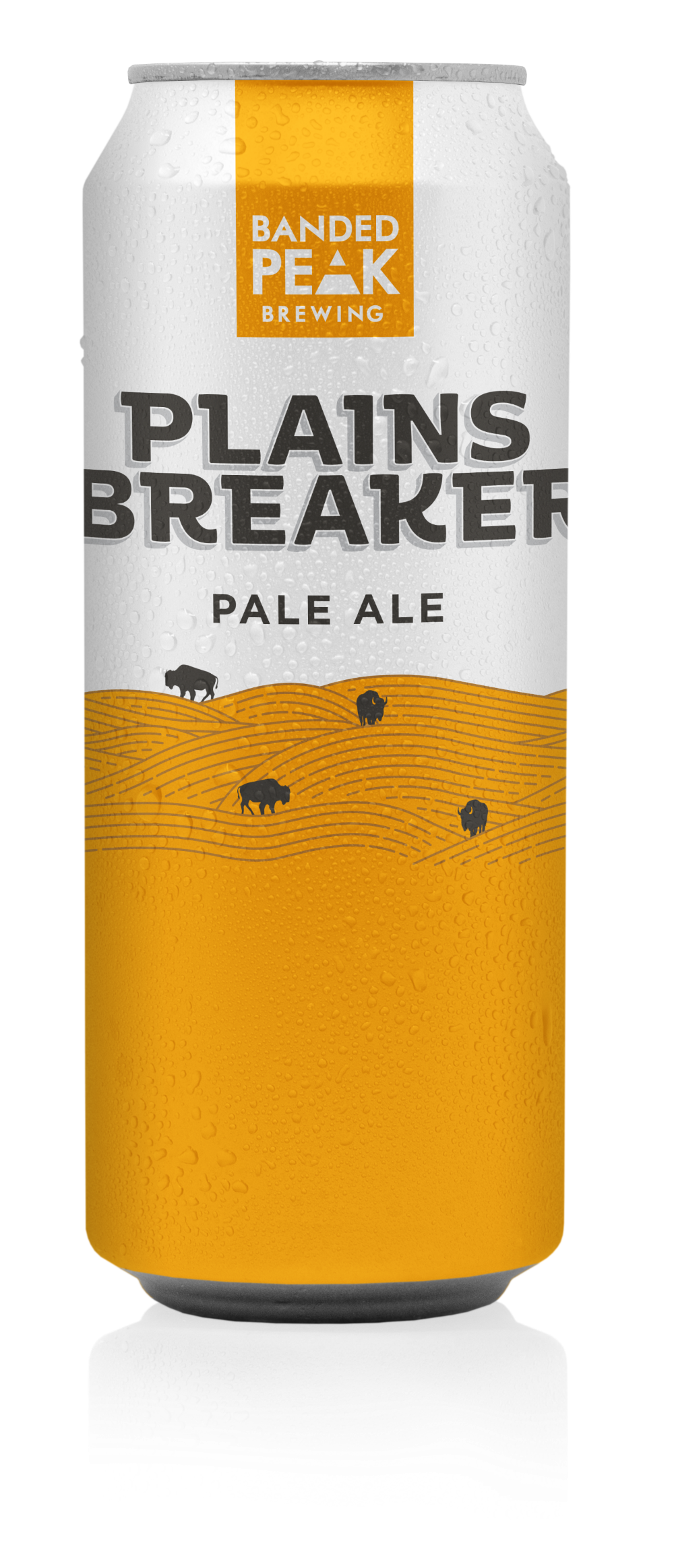 Plainsbreaker