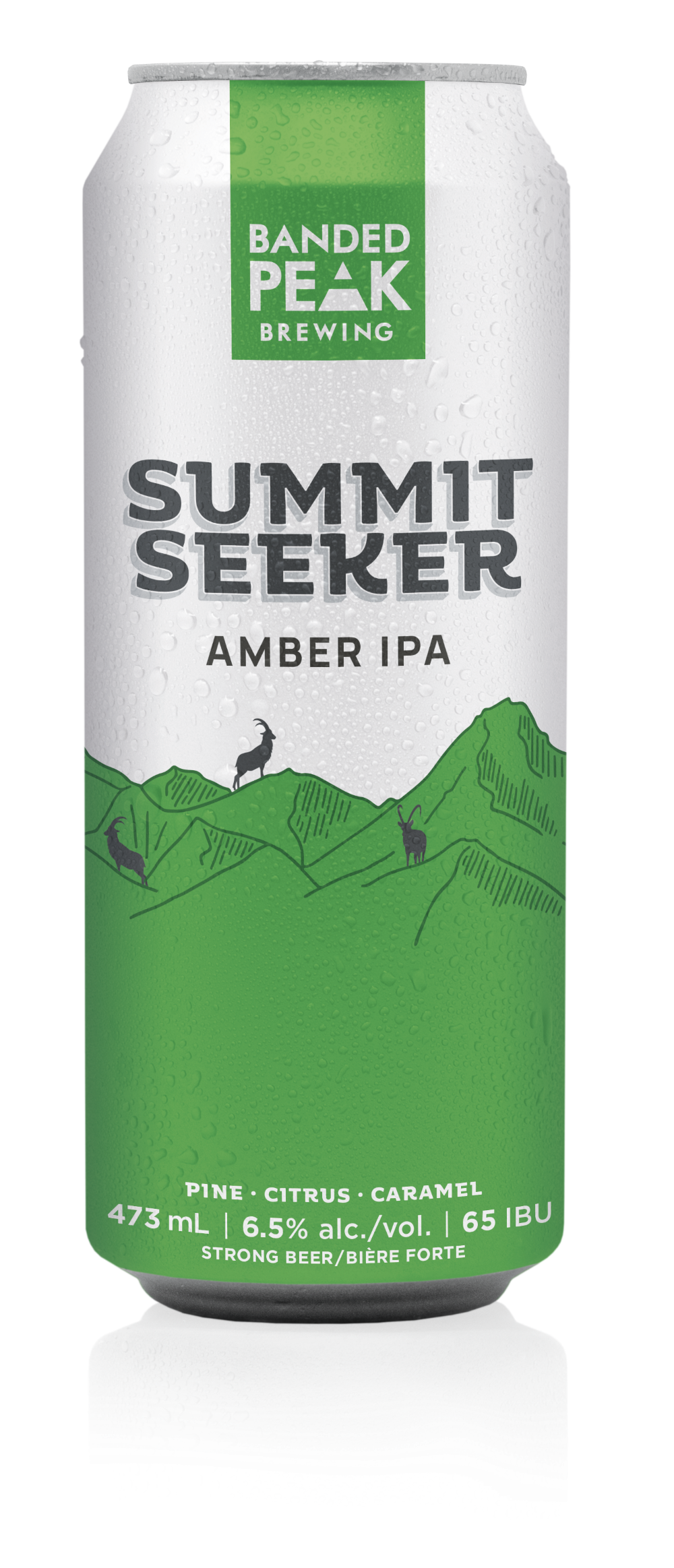 Summit Seeker