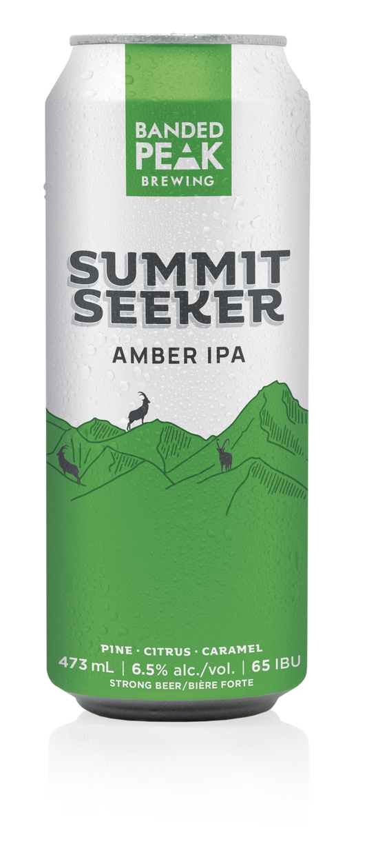 Summit Seeker