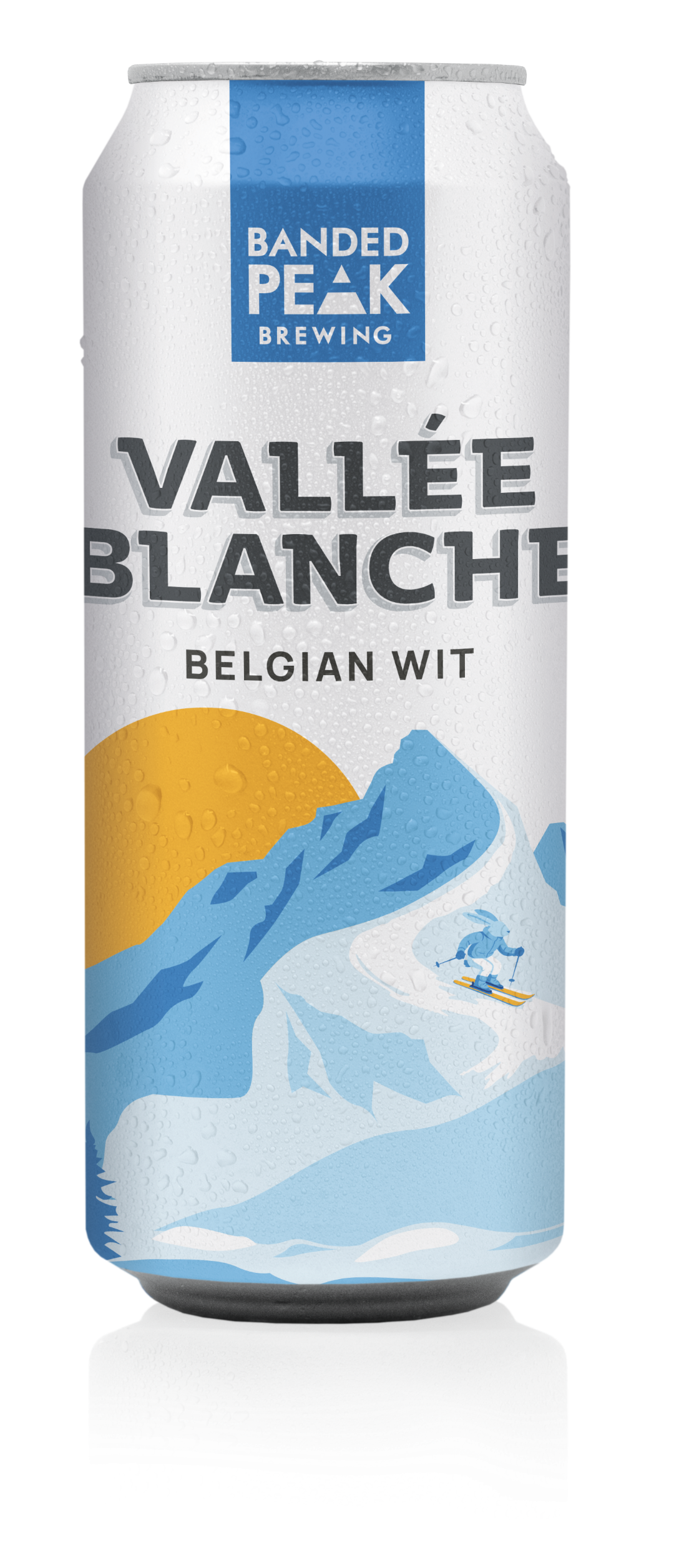 Vallée Blanche