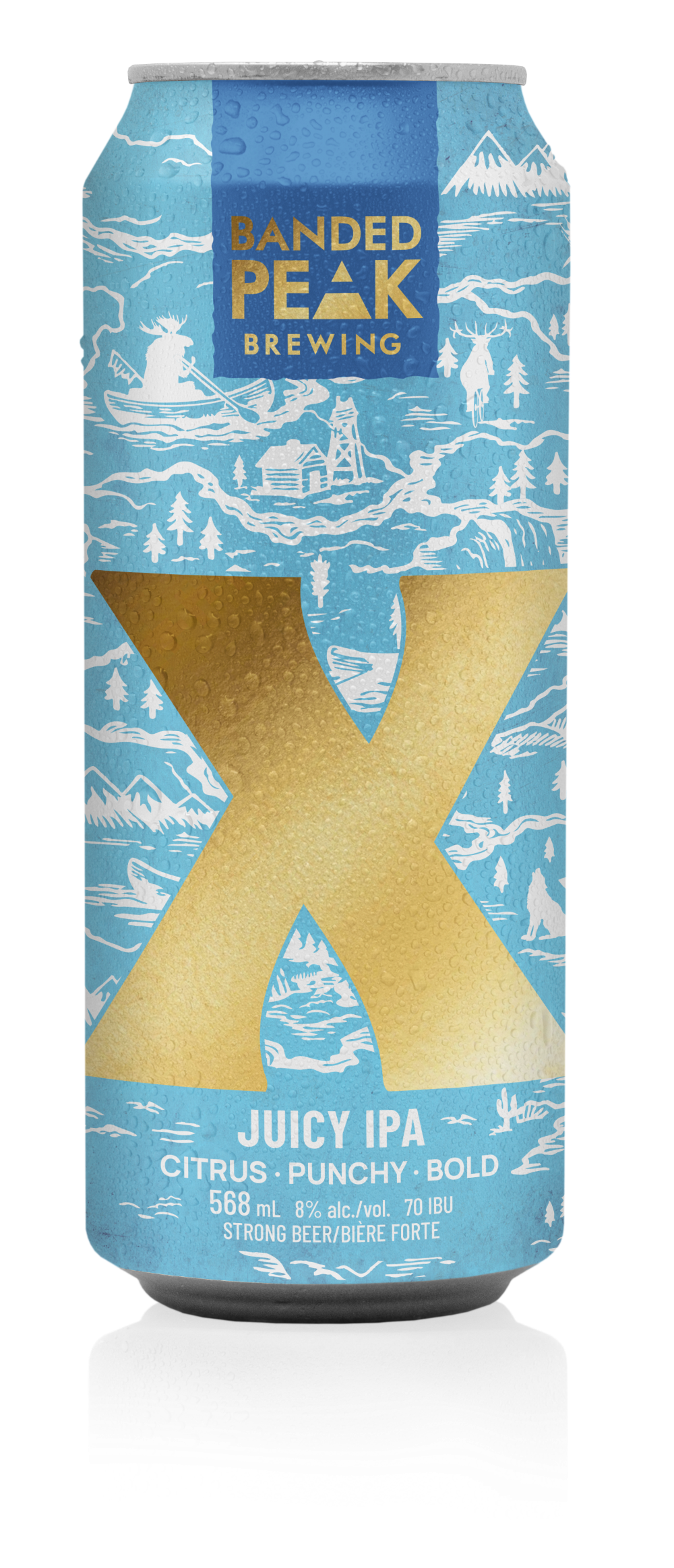 X Juicy IPA